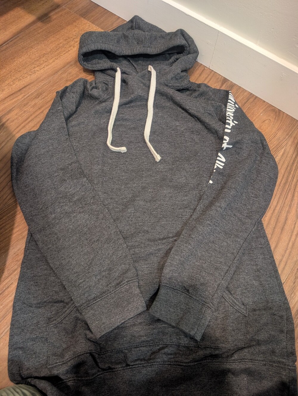 University Of Alberta Men Dark Gray Hooded Pullover Sweatshirt